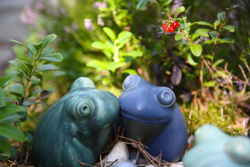 Sammakot (c) Anna Ilona Rajala